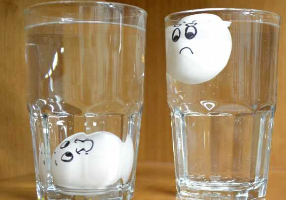 Floating Egg - Fun Science Experiment To Do At Home_zedua ...